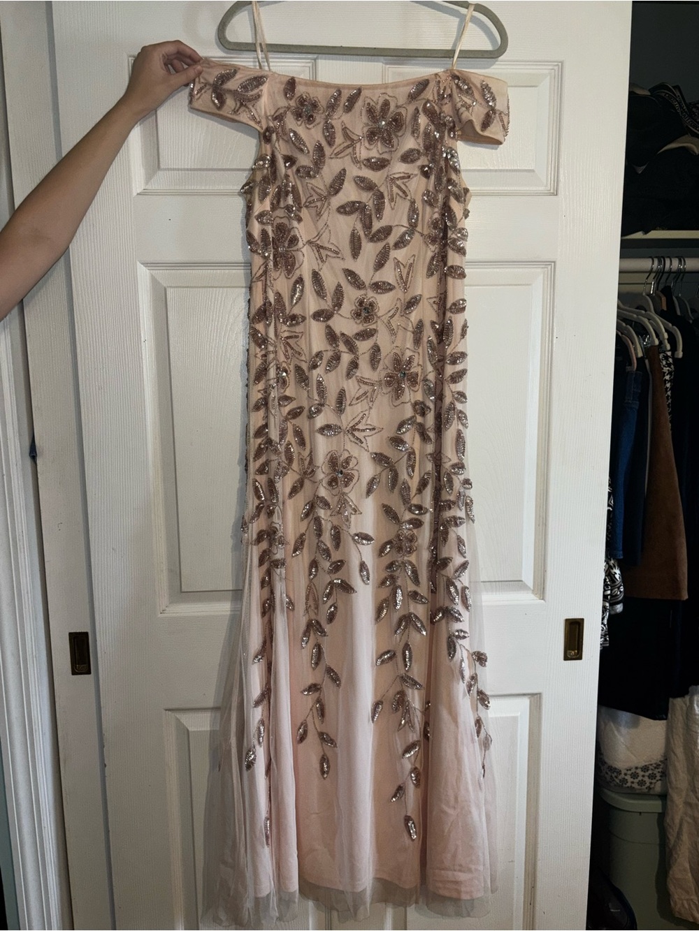 Adrianna Papell Blush Off-Shoulder Sequin Floral Gown